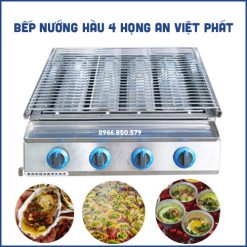 Bếp nướng đa năng 4 họng